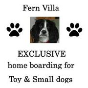 Fern Villa,  Fully licensed Dog home boarding in Rotherham