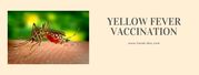 Get Yellow Fever Vaccination 