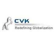 Business Analyst Online Training at CVK Online Training 
